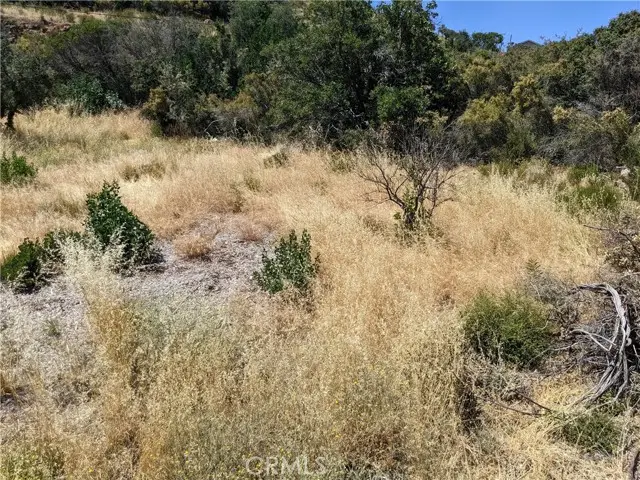 5633 Maya Road, Kelseyville, CA 95451 - #3
