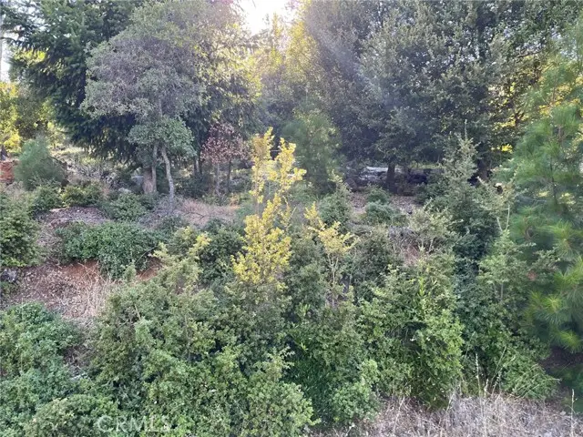 3607 Pine Terrace Drive, Kelseyville, CA 95451 - #2
