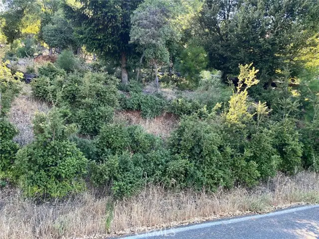 3607 Pine Terrace Drive, Kelseyville, CA 95451 - #3