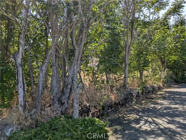 220 4th Street, Lakeport, CA 95453 - #2