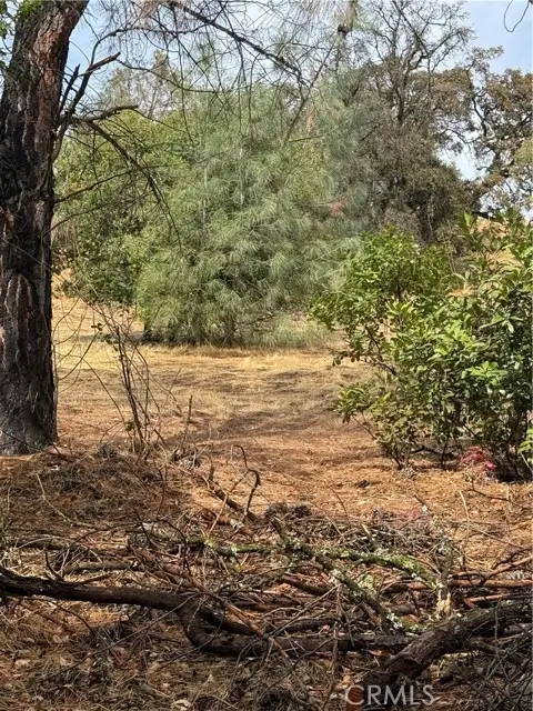 12508 Lakeview Drive, Clearlake Oaks, CA 95423 - #1