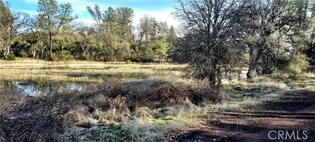 15151 Gray Pine Road, Lower Lake, CA 95457 - #2
