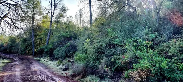 15151 Gray Pine Road, Lower Lake, CA 95457 - #3