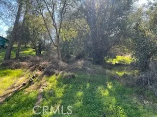 14212 Woodland Drive, Clearlake, CA 95422 - #2
