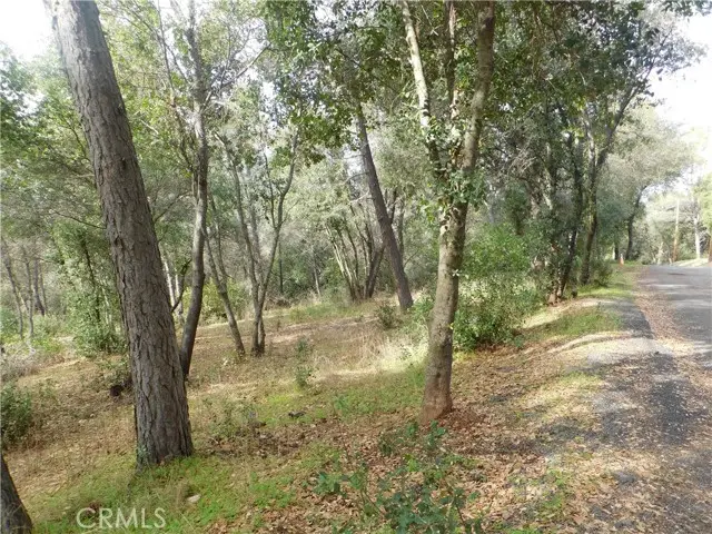 5834 Spruce Avenue, Clearlake, CA 95422 - #3