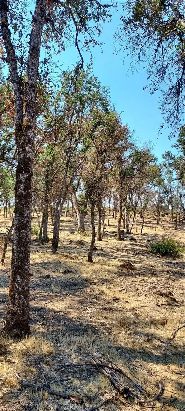 16034 13th Avenue, Clearlake, CA 95422 - #3