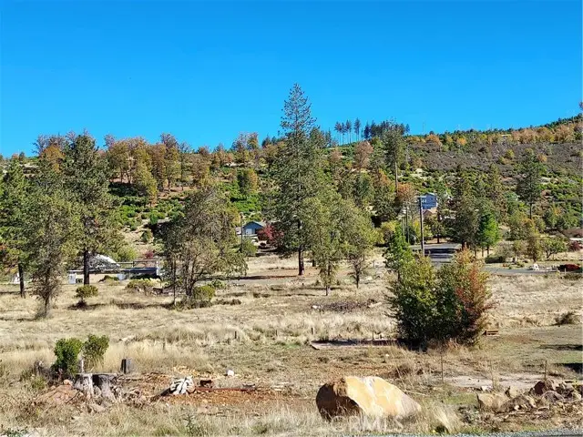 15240 Summit, Cobb, CA 95426 - #2