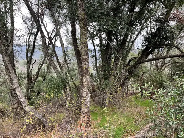 7166 Butte Court, Nice, CA 95464 - #3