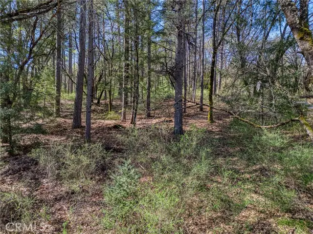 15347 Western Mine, Middletown, CA 95461 - #1
