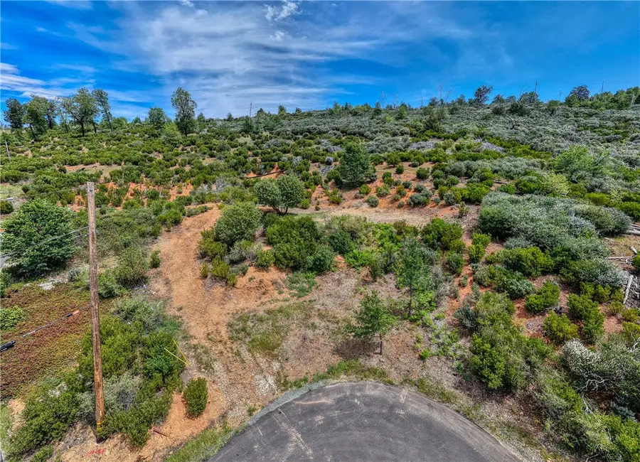 9738 Hoberg Drive, Cobb, CA 95426 - #2