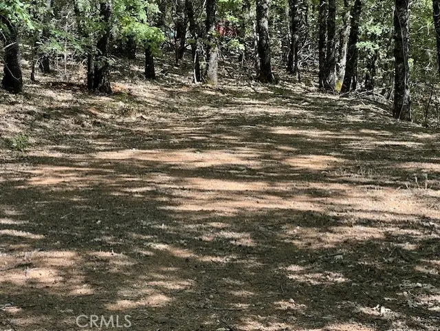 9208 Diamond Dust, Kelseyville, CA 95451 - #2