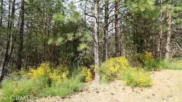 9072 Fox Drive, Cobb, CA 95426