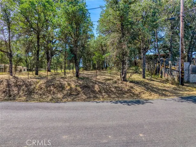 16793 Big Bear, Lower Lake, CA 95457 - #1