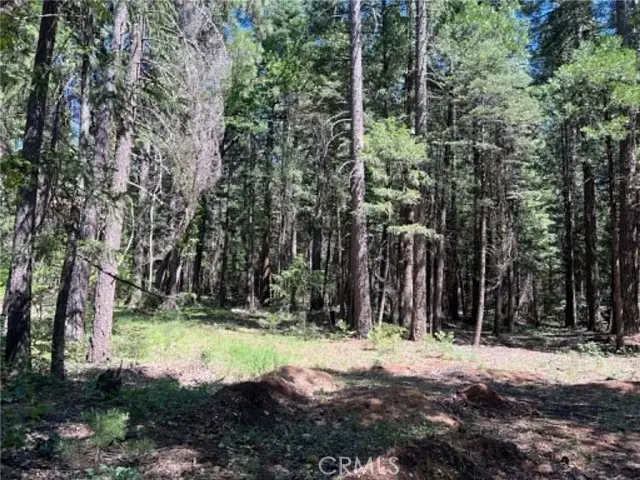 0 EASTWOOD WAY, Shingletown, CA 96088 - #1