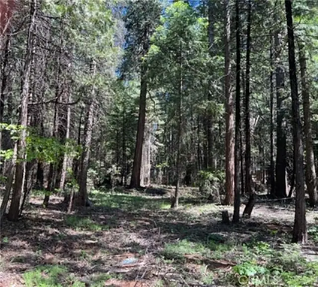 0 EASTWOOD WAY, Shingletown, CA 96088 - #2