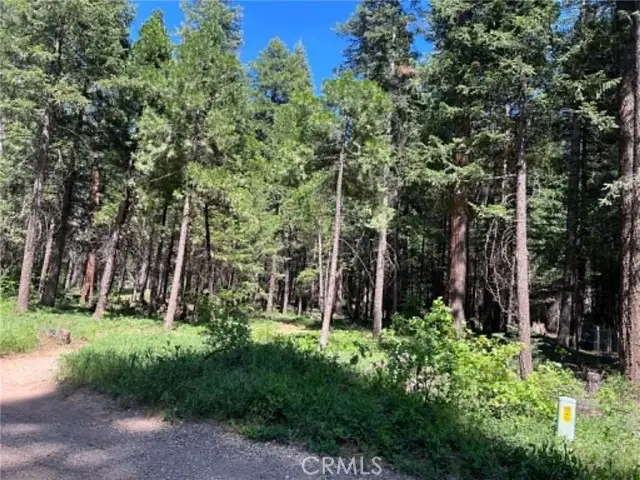 0 EASTWOOD WAY, Shingletown, CA 96088 - #3