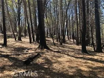 7097 High Valley, Lucerne, CA 95458 - #1