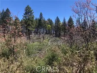 6847 High Valley, Lucerne, CA 95458 - #1