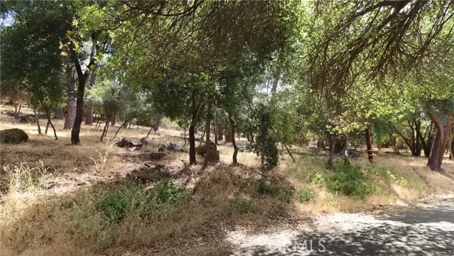 10465 Boren Bega Drive, Kelseyville, CA 95451 - #2