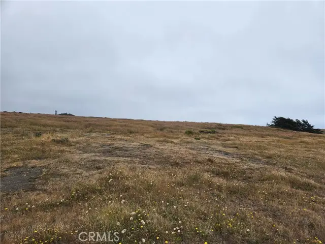 16200 Highway 1, Manchester, CA 95459 - #2