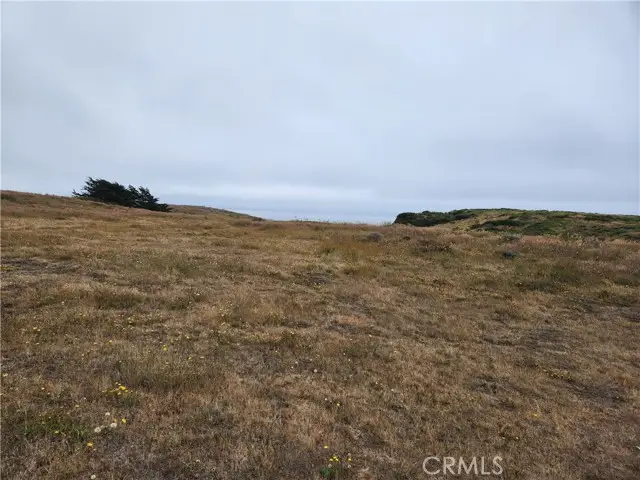 16200 Highway 1, Manchester, CA 95459 - #3