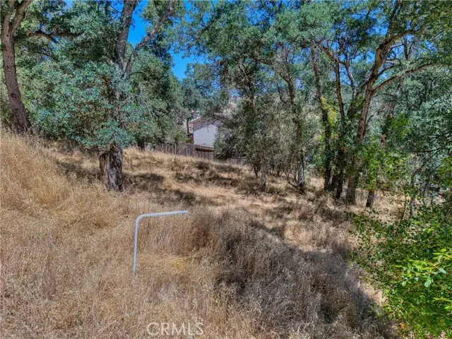 13020 Ridge Street, Clearlake, CA 95422 - #1
