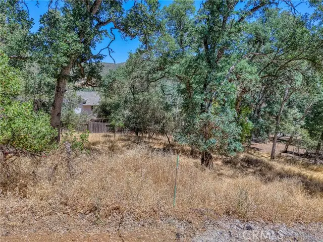 13020 Ridge Street, Clearlake, CA 95422 - #3