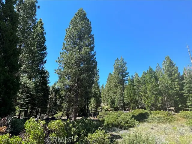 1 Canyon Creek Rd, Alturas, CA 96101 - #1