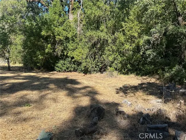 15394 Mckell, Middletown, CA 95461 - #3