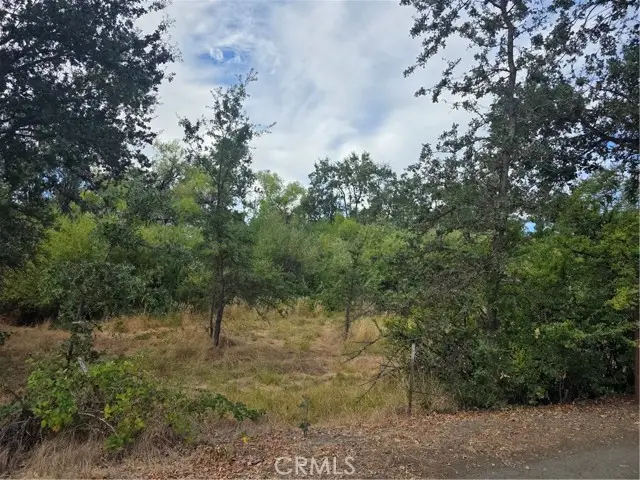1217 Berry, Lakeport, CA 95453 - #1