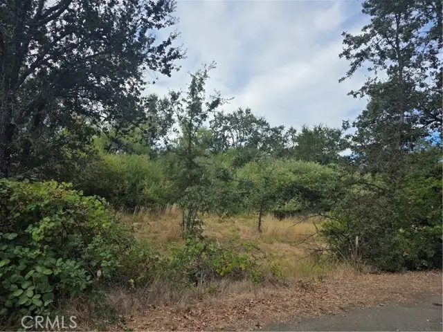1233 Berry, Lakeport, CA 95453 - #1