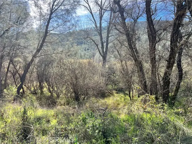 2286 New Long Valley Road, Clearlake Oaks, CA 95423 - #1