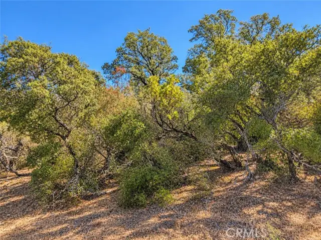 9951 Palmer Court, Kelseyville, CA 95451 - #2