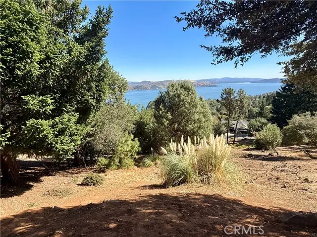 3356 Pine Terrace, Kelseyville, CA 95451 - #3