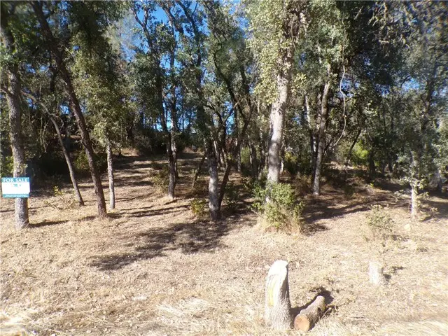 15608 36th Avenue, Clearlake, CA 95422 - #2
