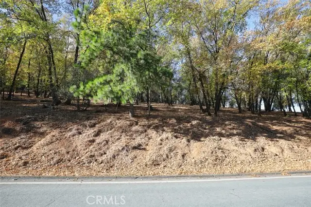 3061 Riviera Heights, Kelseyville, CA 95451 - #2