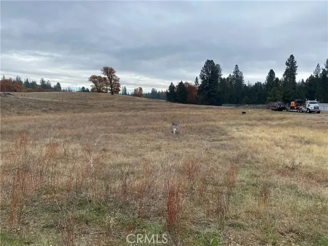 6434 Greeley Hill Road, Coulterville, CA 95311 - #3