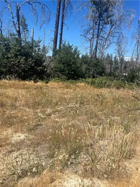 122 Simpson Ranch Road, Berry Creek, CA 95916 - #2