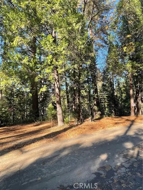 22447 Ponderosa DR, Twain Harte, CA 95383 - #3