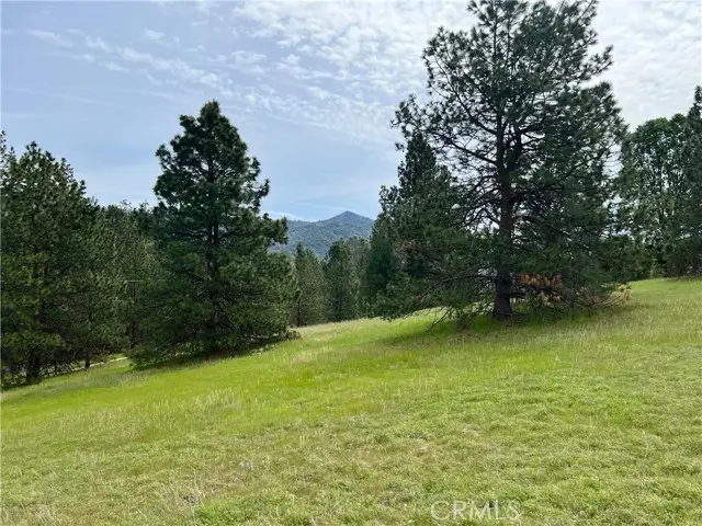 0 Watt Road, Mariposa, CA 95338 - #1