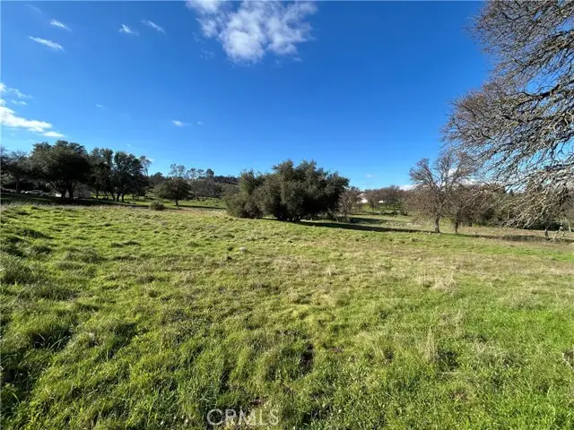 3209 Silver Bush Place, Catheys Valley, CA 95306 - #1