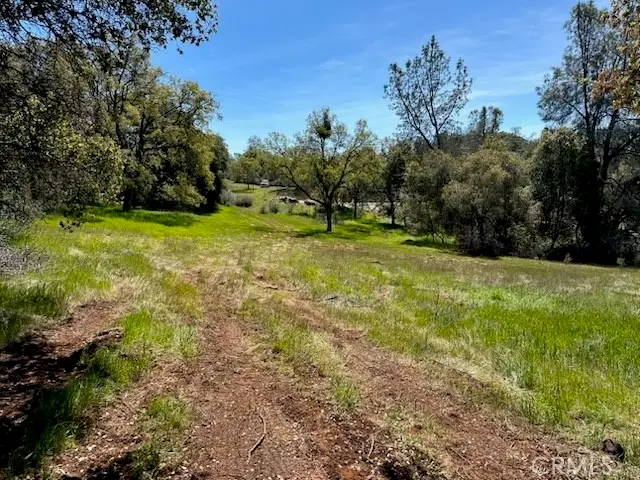 0 Highway 49 N, Mariposa, CA 95338 - #3