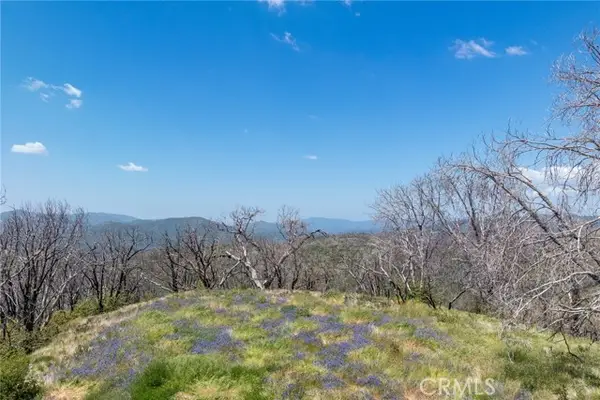39 Acres Buckingham Mountain Road, Mariposa, CA 95338