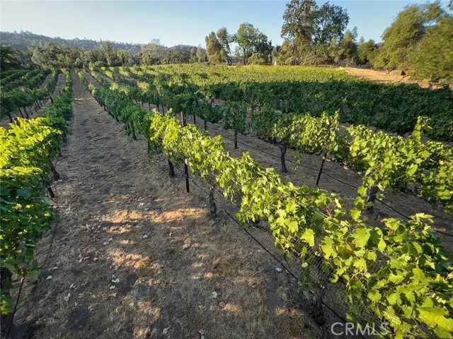 4683 Morningstar, Mariposa, CA 95338 - #1