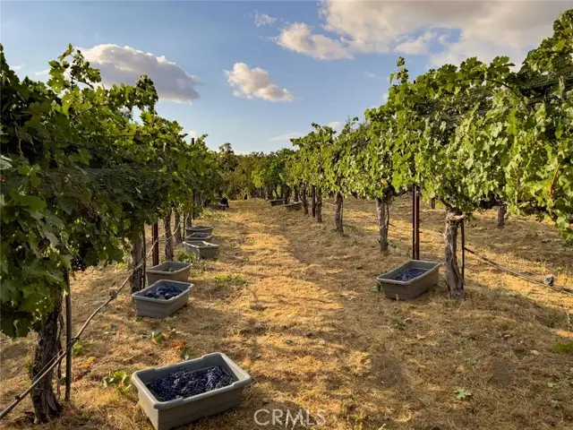 4683 Morningstar, Mariposa, CA 95338 - #2