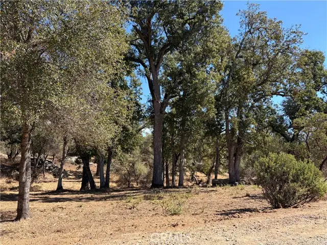 0 Morningstar Lane, Mariposa, CA 95338 - #1
