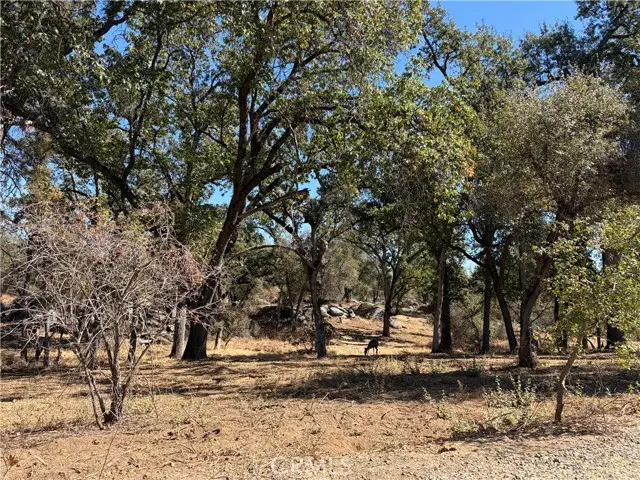 0 Morningstar Lane, Mariposa, CA 95338 - #2