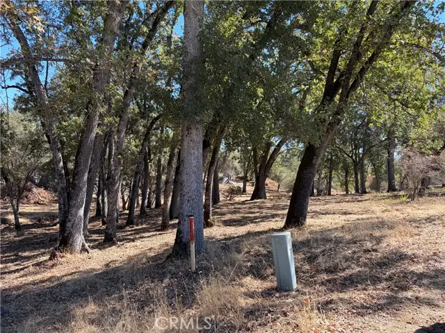 0 Morningstar Lane, Mariposa, CA 95338 - #3