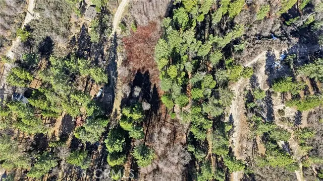 0 Little Bear, Cedar Glen, CA 92321 - #3
