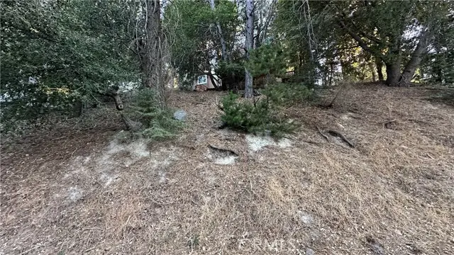 0 Mid Lane, Twin Peaks, CA 92391 - #2